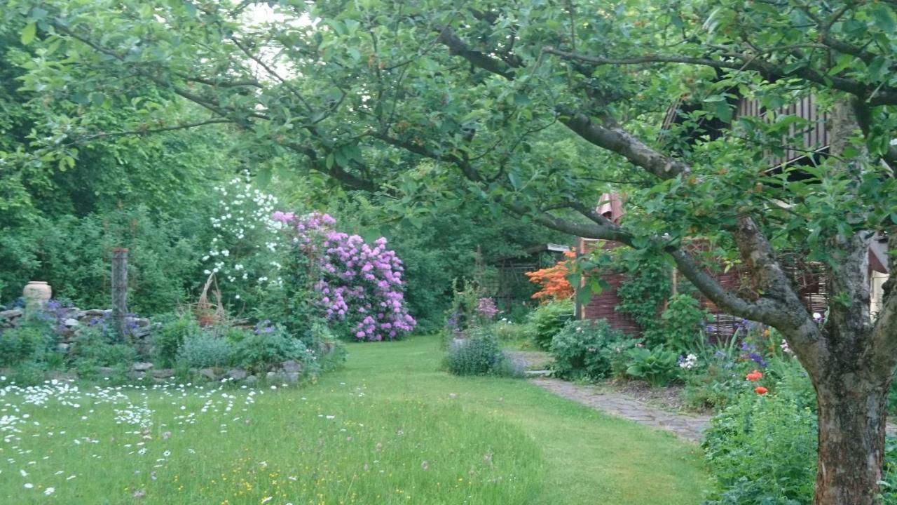Landhaus Bernecker, Bay.W. Rinchnach Екстериор снимка